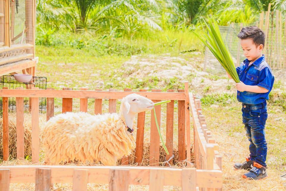 ไร่นาบัวหลวง คาเฟ่ & ฟาร์มสเตย์ Raina Bualuang Cafe & Farm Stay Ban Na No Kültér fotó