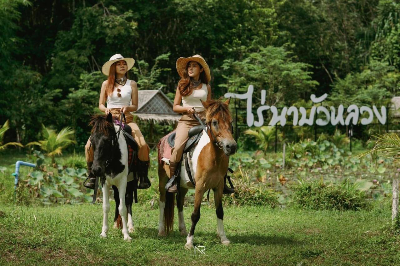 ไร่นาบัวหลวง คาเฟ่ & ฟาร์มสเตย์ Raina Bualuang Cafe & Farm Stay Ban Na No Kültér fotó