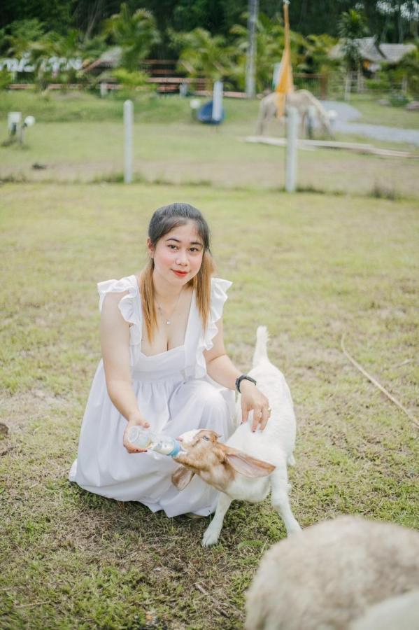 ไร่นาบัวหลวง คาเฟ่ & ฟาร์มสเตย์ Raina Bualuang Cafe & Farm Stay Ban Na No Kültér fotó