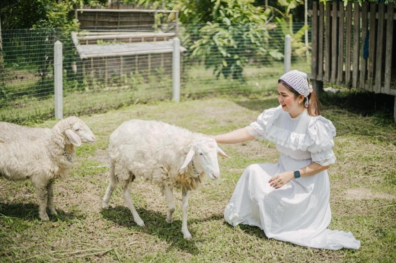 ไร่นาบัวหลวง คาเฟ่ & ฟาร์มสเตย์ Raina Bualuang Cafe & Farm Stay Ban Na No Kültér fotó
